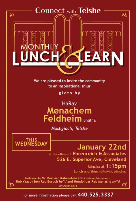 lunch-and-learn--feldheim--1-22-2014-final