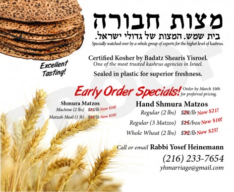 RabbiHeinemannAdFeb2014-1