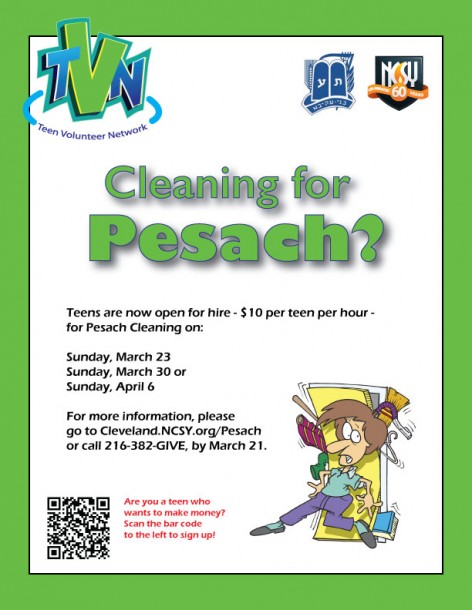 Pesach-Cleaning