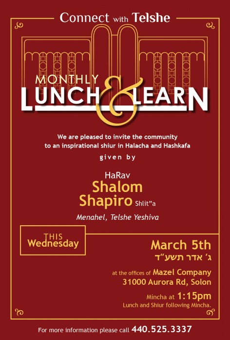 lunch-and-learn--shapiro--3-5-2014--solon-dateupdate