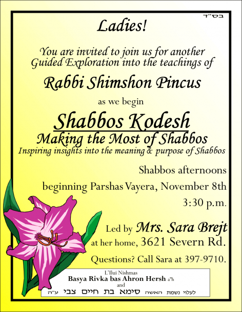 sb-shiur-flyervayera