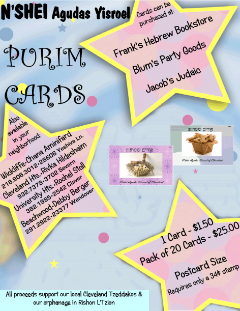 nshei-flyer-2015-(2)