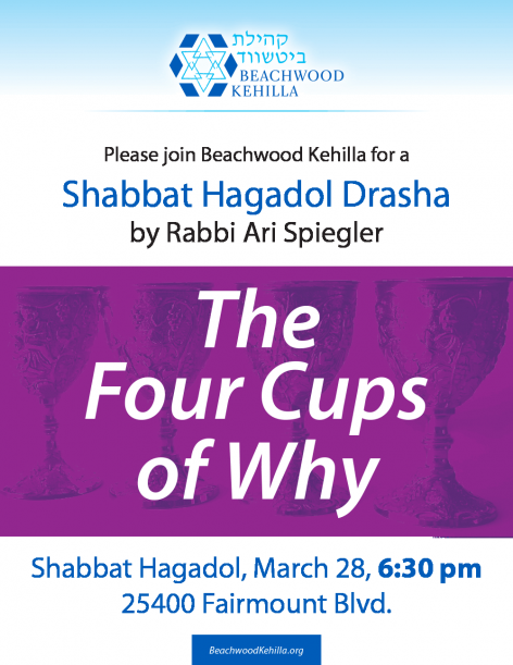BK-SHABBAT-HAGADOL-DRASHA-5775-FLIER