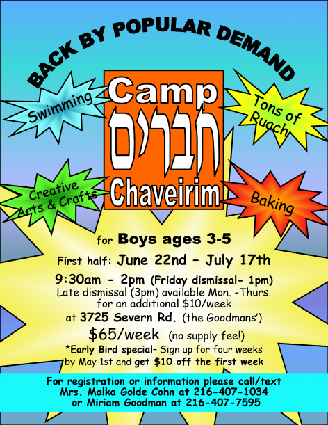 camp chaveirim flyer 2015