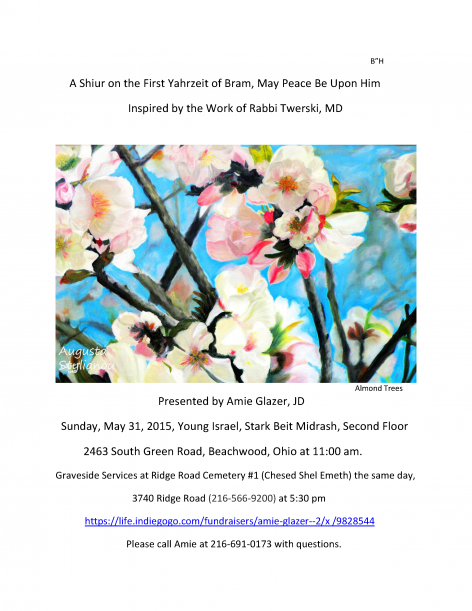 flyer for 13 Sivan 5775