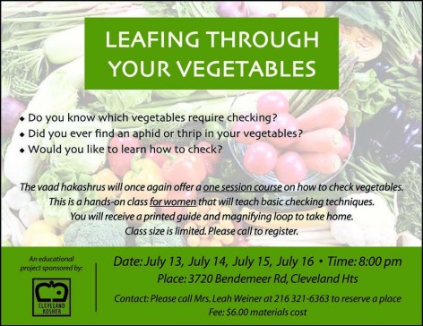 vegetable checking class poster 2015