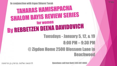 TAHARAS HAMISHPACHA & SHALOM BAYIS REVIEW SERIES