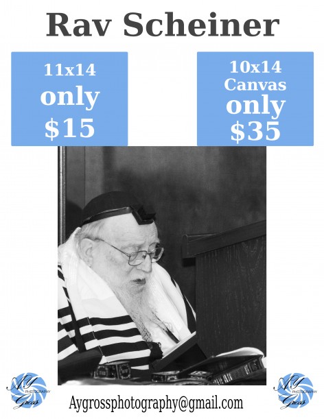 rav scheiner