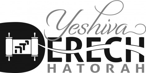 ydh logo