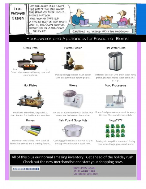 Housewares and Appliances for Pesach 2016