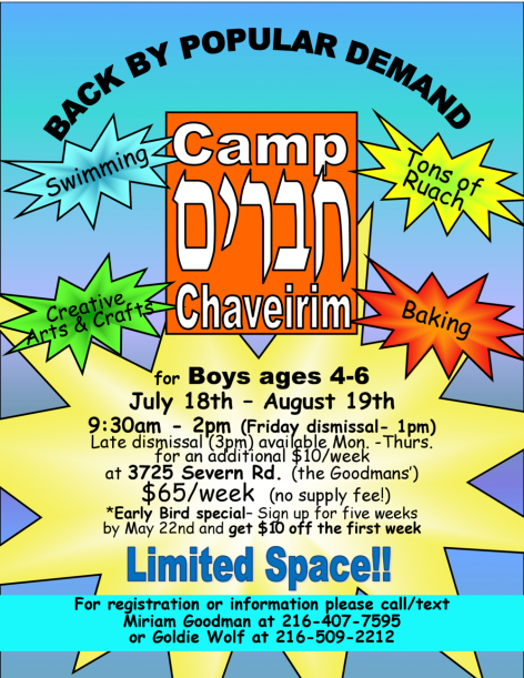 camp chaveirim flyer 2016