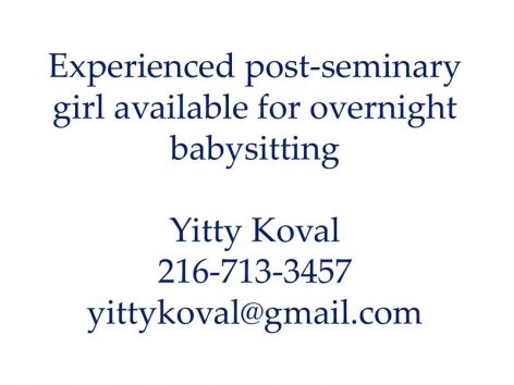 Overnight Babysitting LJN