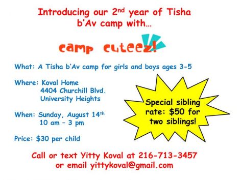 tisha b'av camp flyer 2016