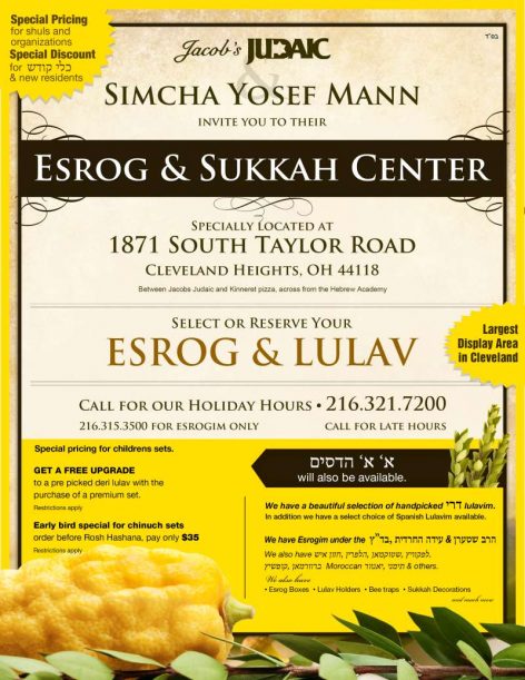 2016-09-24-mann-sim-poster_8_5x11