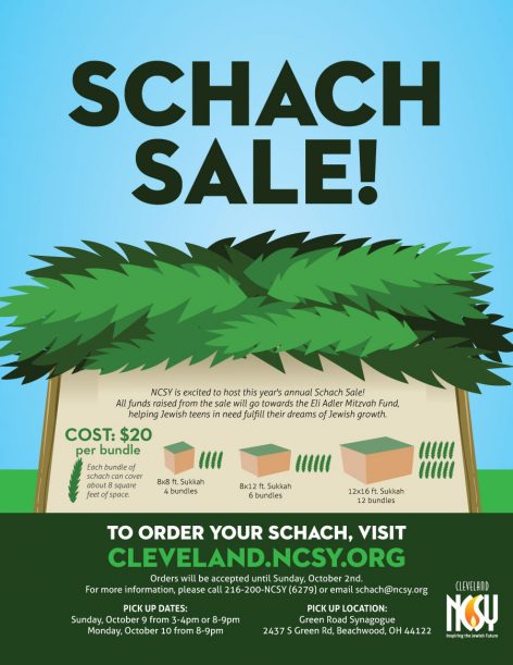 2016-09-24-ncsy-schach-1-schach