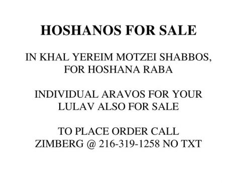 2016-10-20-zimberg-hoshanos-for-sal2