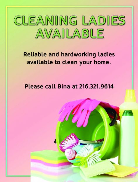 2016-11-15-drazin-bd-cleaning2